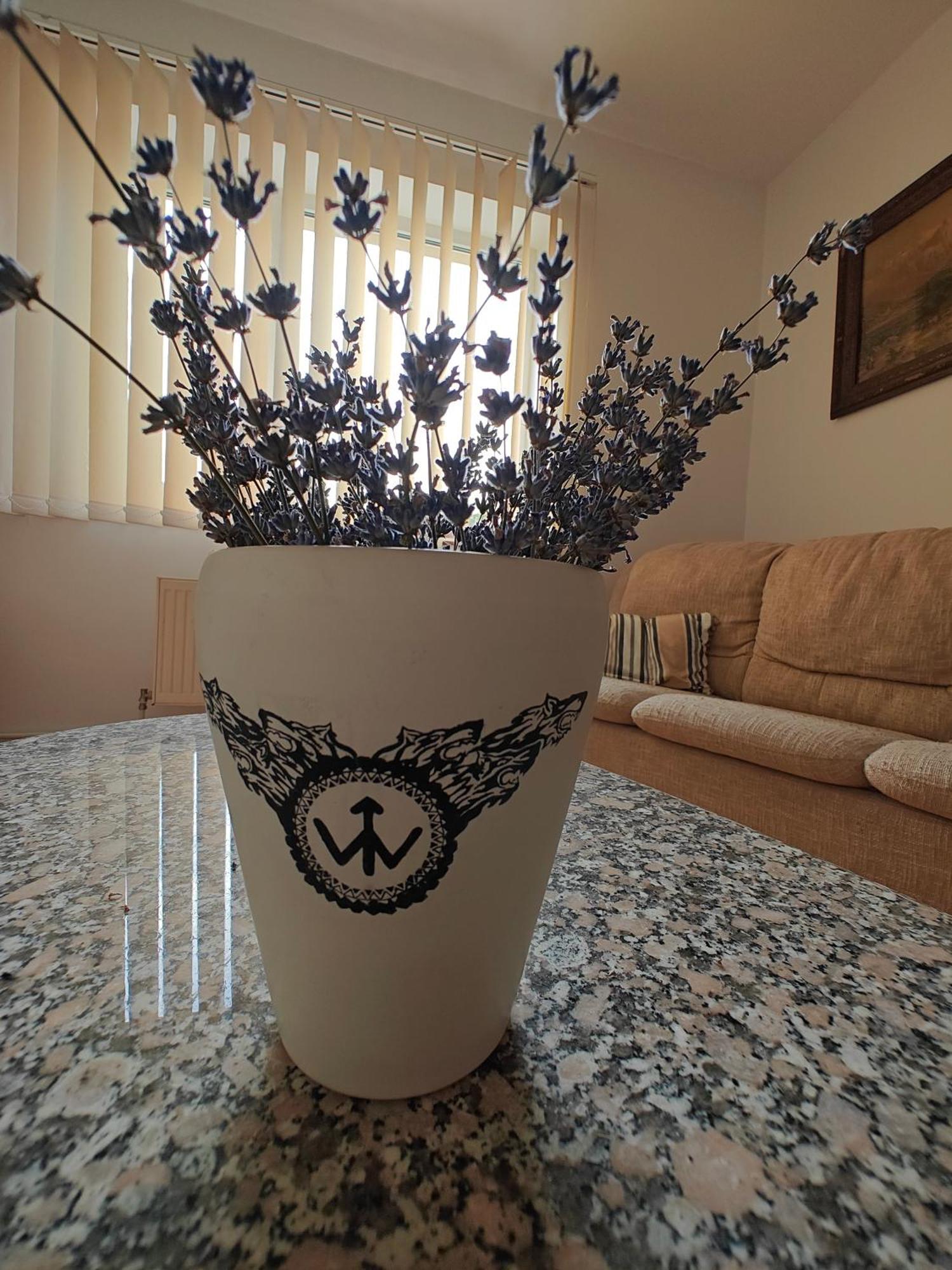 Transsylvanian Wolves Apartment سيبيو المظهر الخارجي الصورة